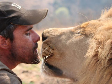 Meet The Lion Whisperer – Mind Blowing Video!!
