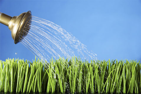 Social media success is like growing a plant