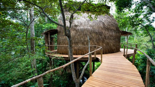 Odzala Wilderness Camps REPUBLIC OF CONGO, AFRICA