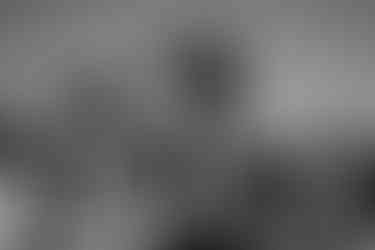 2021.07.09 Famille Galouney-38.jpg