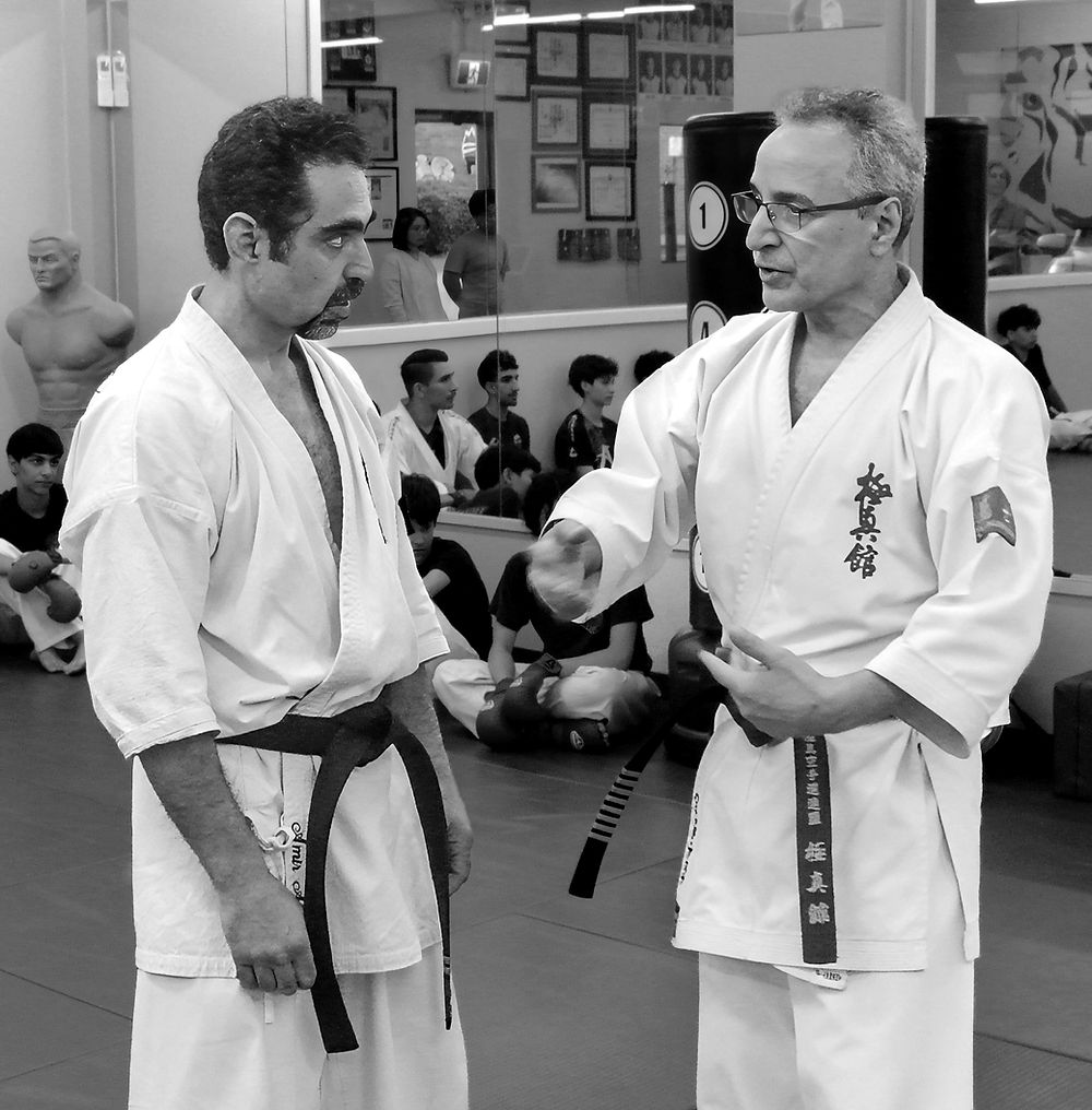 Amir Ali Dowlatshahi and Shihan Hamid asna ashari