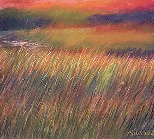Marsh grasses.jpg