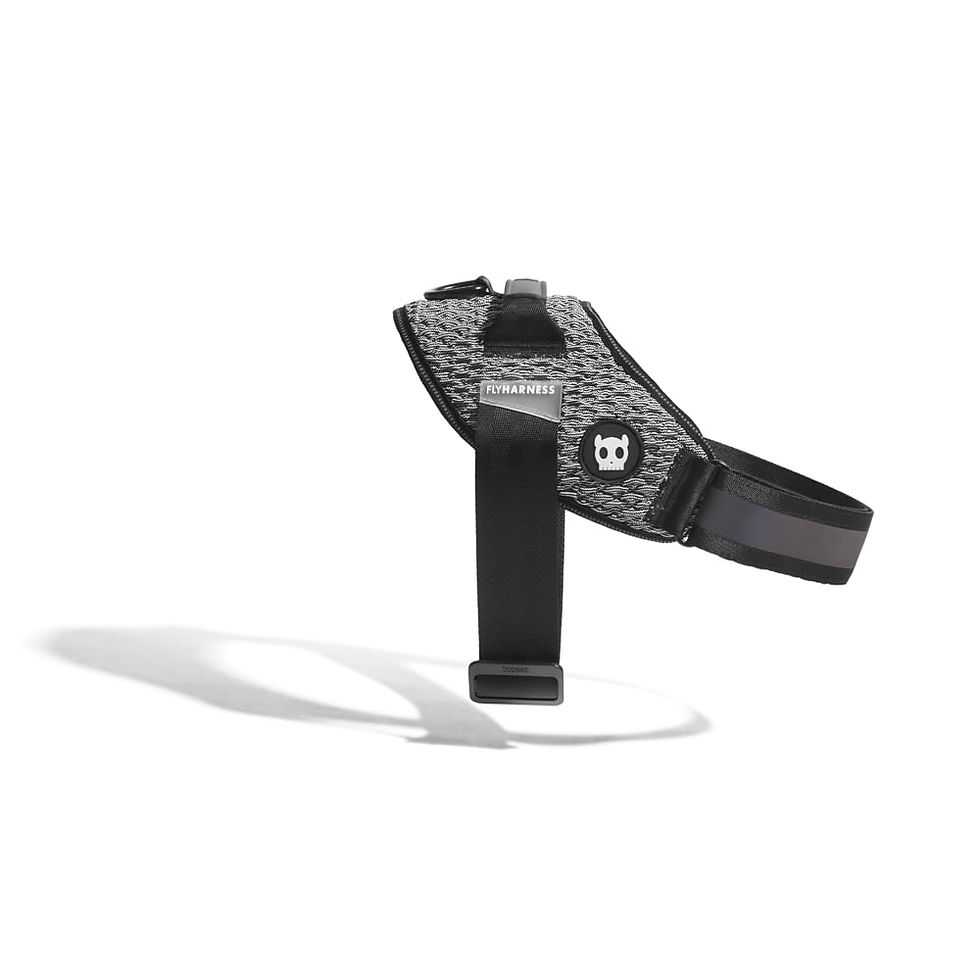 ZeeDog Σαμαράκι Σκύλου Urban Fly Harness Size 5