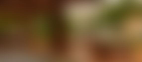 5 Dreamy Boutique Hotels in Mexico