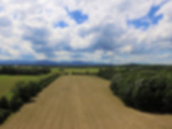 2178001_18310645_f.jpeg