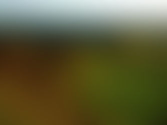 Michael Fowler's 150 word Candidate Statement