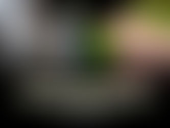 concrete vs pavers in St. Cloud, FL