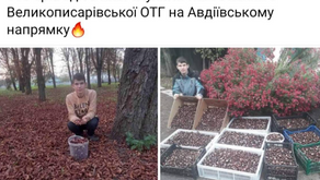 День ВОЛОНТЕРА!