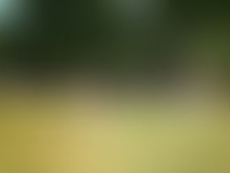 【参加者募集】5月11日(日)外ヨガ@代々木公園