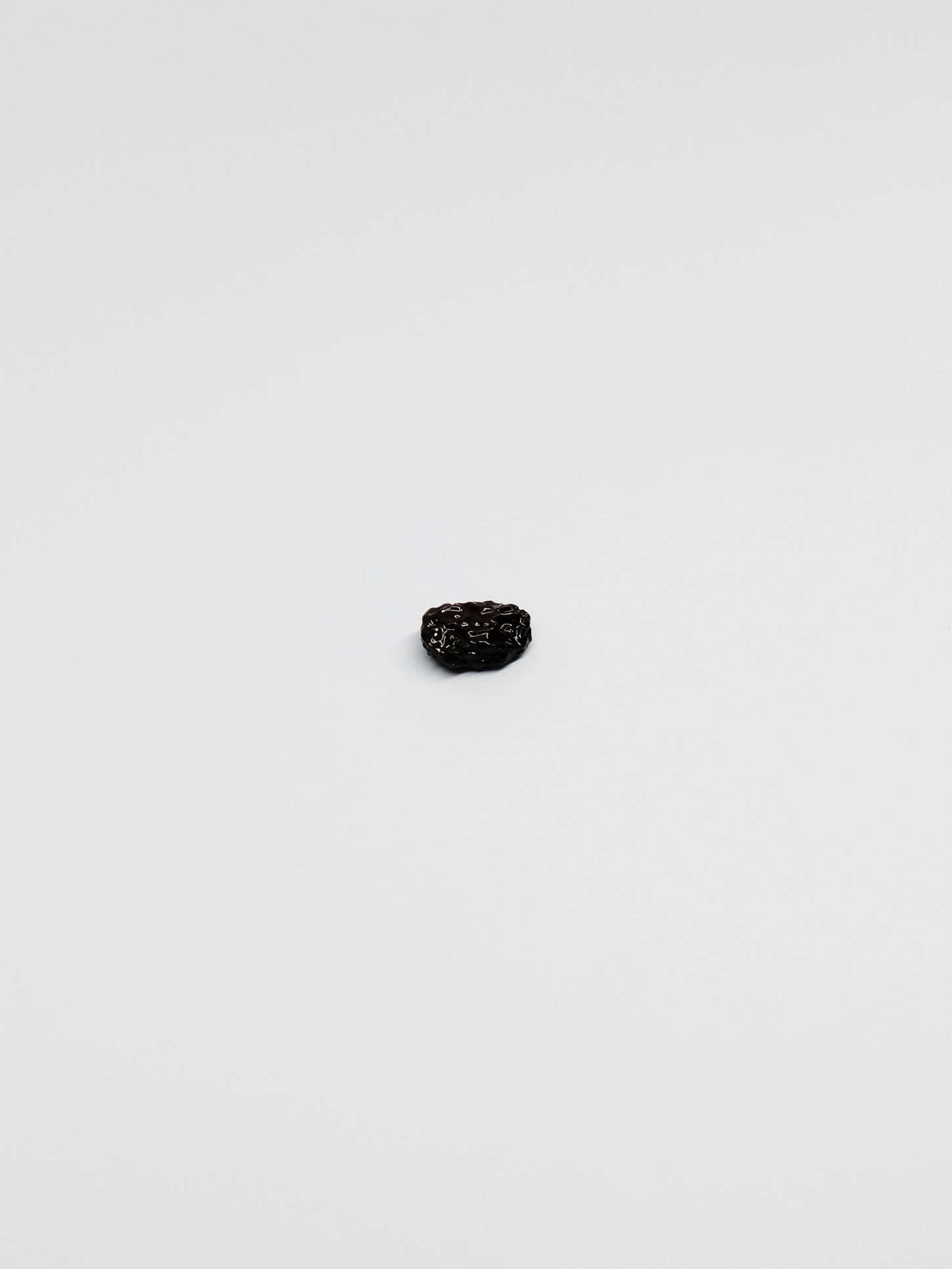 RAISIN SEC