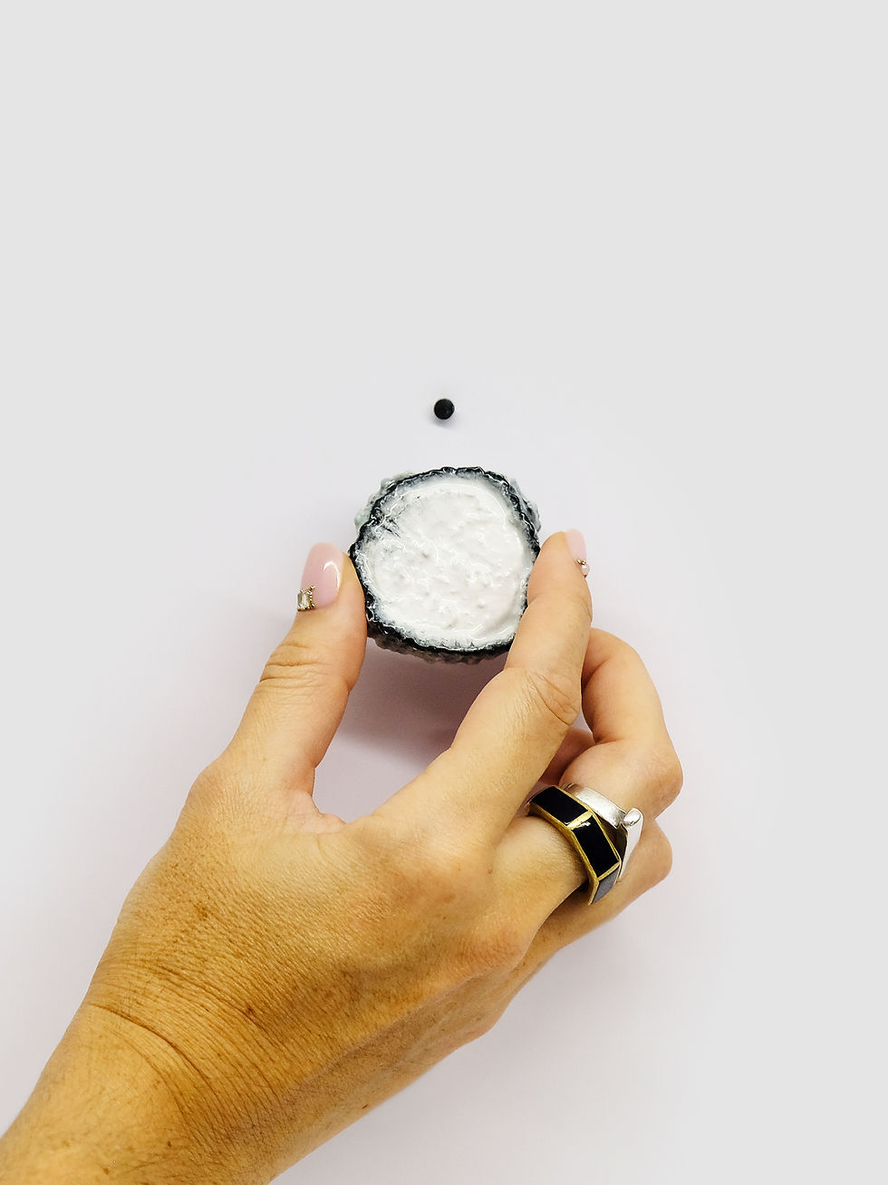 LA RONDELLE DE CHÈVRE CENDRÉ