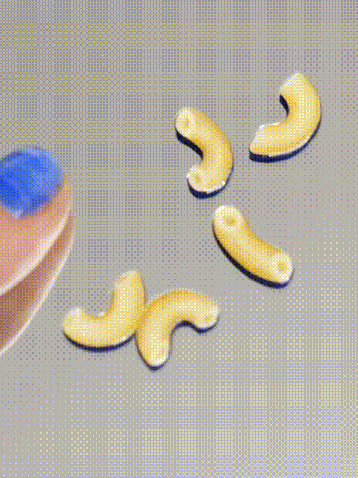 COQUILLETTES SUR FOND BLEU