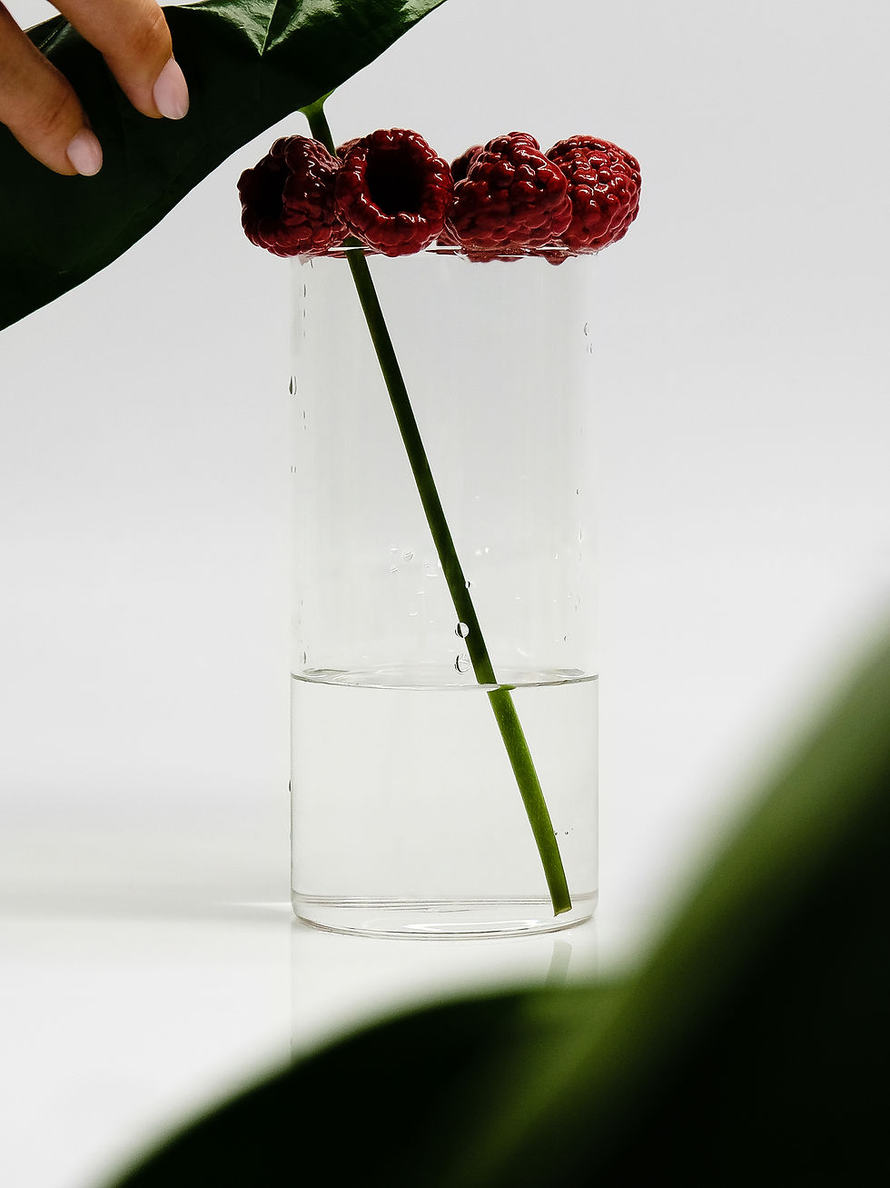 FRAMBOISES N°1