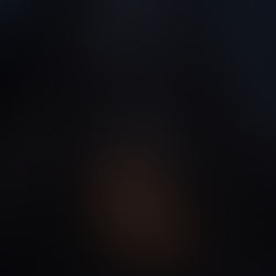 Ancient mountain ash tree at dusk, its massive trunk and roots emerging from shadow with a soft warm glow at the base