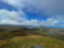 IMG_0595.jpeg