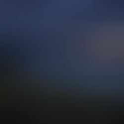 Dark coastal clifftops overlooking the southern ocean at twilight, with wind moving through tall grasses beneath heavy indigo clouds and a faint warm glow on the distant horizon.