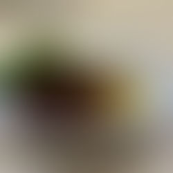 ３月の会長飯は・・・🥣