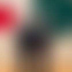 新しい仲間が加わりました！