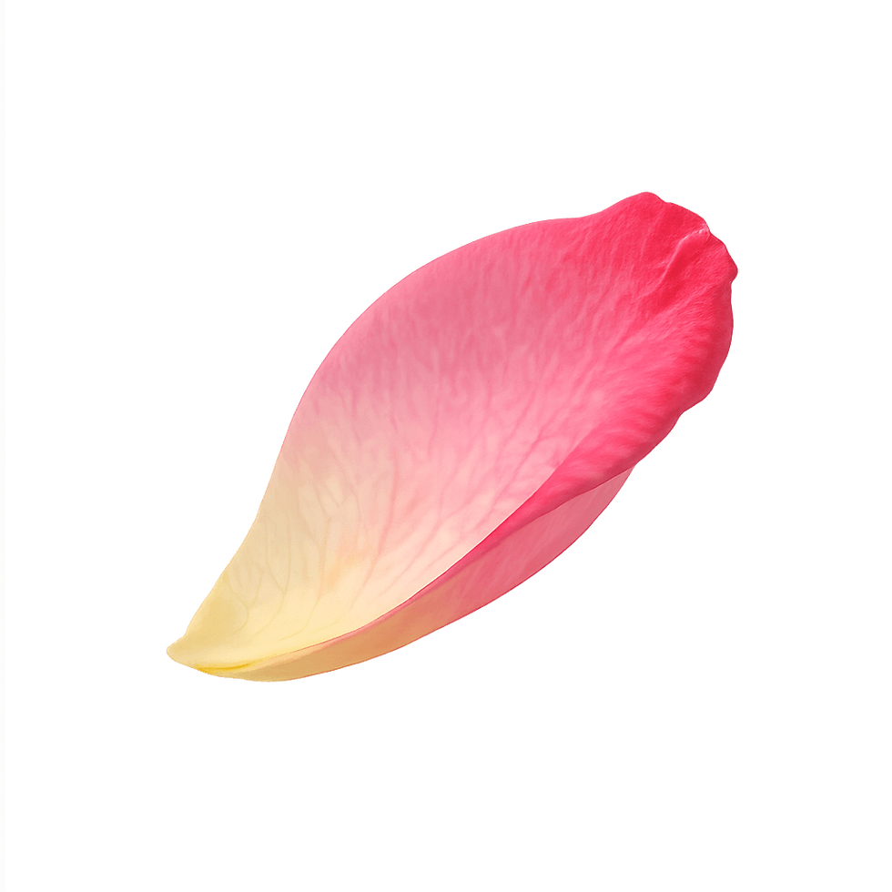 ChatGPT Image Apr 15, 2026, 04_21_38 AM.png