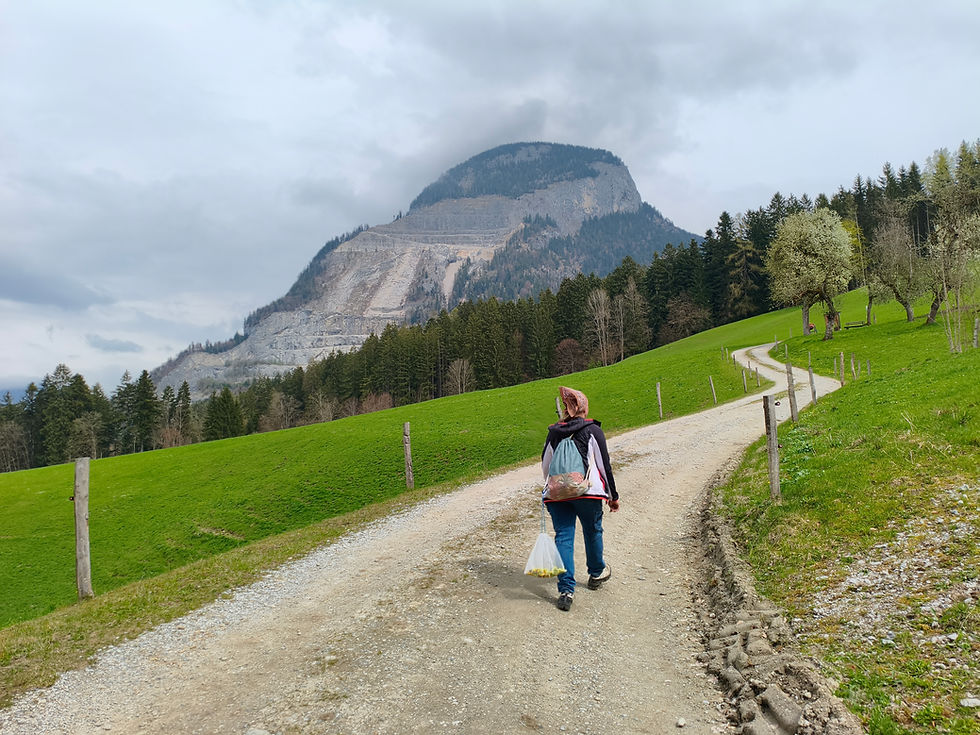 Evelyn Markt herbal course and workshop with local medicinal plants and healing herbs in Langkampfen, Kufstein District, Tyrol, Austria – hands-on herbal course with shared learning and practical application in nature.