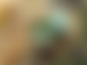 Erkältungsbalsam selber machen – natürlicher Kräuterbalsam