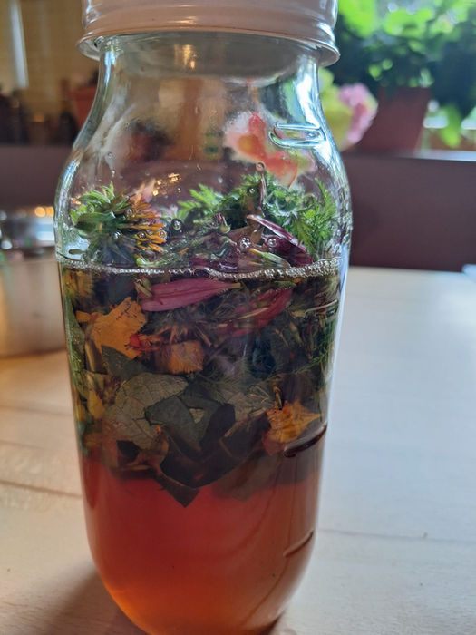 Evelyn Markt Kräuterkurs und Kräuterworkshop mit heimischen Heilpflanzen und Heilkräutern in Langkampfen, Bezirk Kufstein, Tirol, Österreich – immunstärkende Pflanzen werden im Kräuterkurs in einer Essig-Honig-Mischung ausgezogen und zu natürlichen Heilpräparaten verarbeitet.