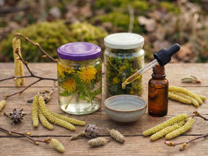 Evelyn Markt Kräuterkurs und Kräuterworkshop mit heimischen Heilpflanzen und Heilkräutern in Langkampfen, Bezirk Kufstein, Tirol, Österreich – Gemmotherapie Workshop und Kräuterkurs zur praktischen Arbeit mit Knospen, Heilpflanzen und natürlicher Unterstützung von Wohlbefinden, innerer Balance und körpereigener Widerstandskraft, auch im Kontext von Erholung und Stärkung nach belastenden Zeiten wie COVID.