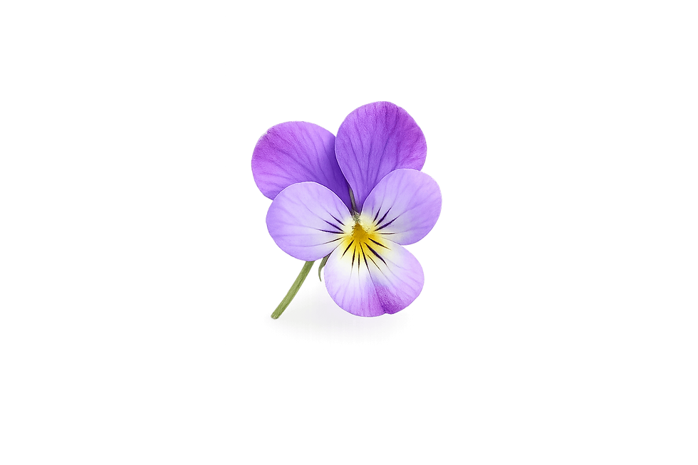ChatGPT Image Apr 15, 2026, 04_38_13 AM.png