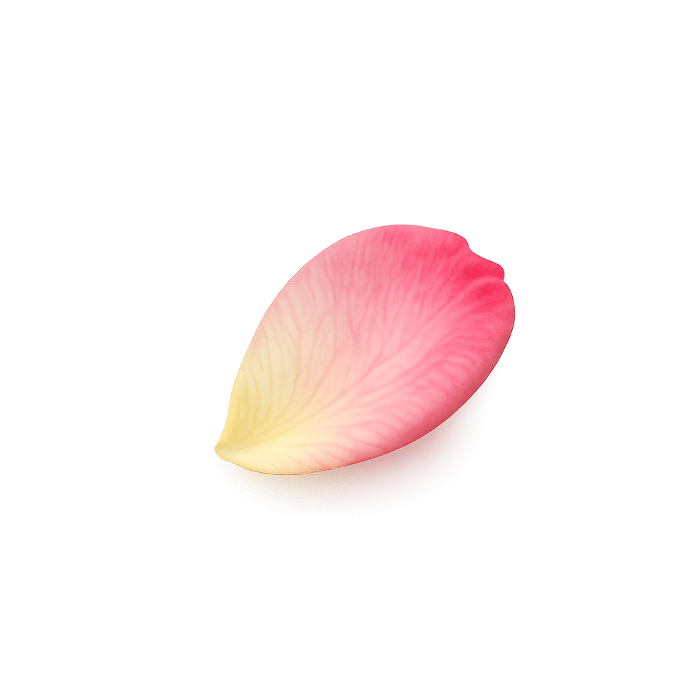 ChatGPT Image Apr 15, 2026, 04_26_59 AM.png