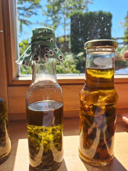 Evelyn Markt Kräuterkurs und Kräuterworkshop mit heimischen Heilpflanzen und Heilkräutern in Langkampfen, Bezirk Kufstein, Tirol, Österreich – im Sommer werden aus Blüten und Kräutern wertvolle Auszüge von Heilpflanzen im Rahmen eines praxisnahen Kräuterkurses hergestellt.