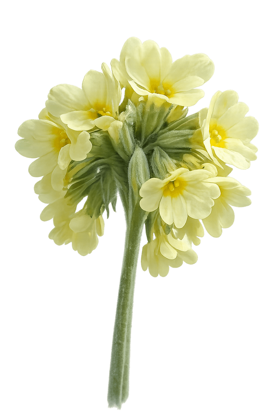 ChatGPT Image Apr 15, 2026, 05_18_58 AM.png