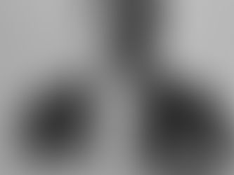 Portrait of Toyoda Sakich