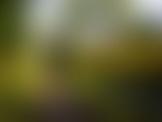 How to Work With Your Body to Heal Faster and Stay Healthy