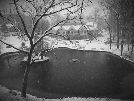 Ghost Stories from the Stacks: Academic Poltergeists