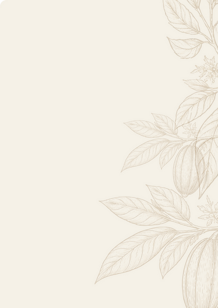 cacao.png