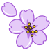 purple cherry blossom