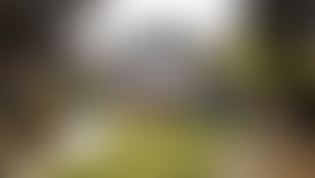 Ανοιχτή Πασχαλιάτικη Πρόσκληση στον κήπο του “Πόλκα Φροέλεν”