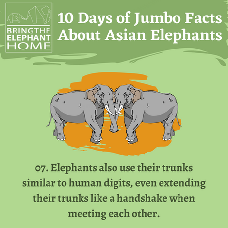 10 Jumbo Facts_Insta [7/10]
