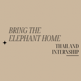 BRING THE ELEPHANT HOME - THAILAND INTERNSHIP