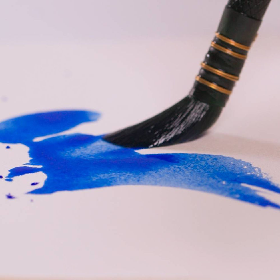 縮圖：義大利Borciani & Bonazzi 筆刷 850 系列