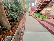 20250310_184824_edited.jpg