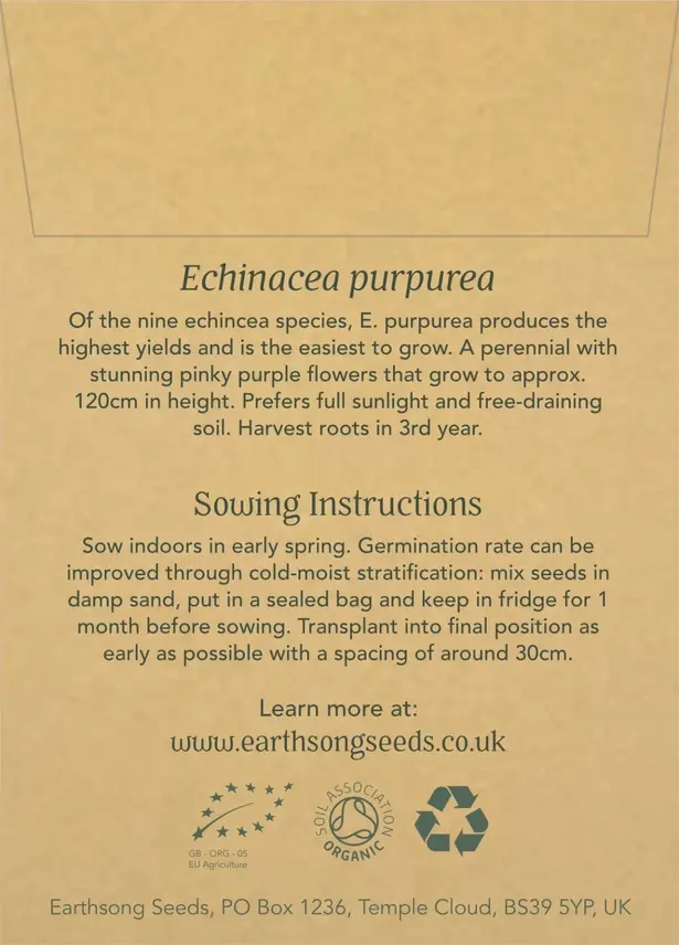 Thumbnail: Echinacea Seed Back View