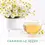 Thumbnail: Herbal Tea. Eco Mini Grow-Kit