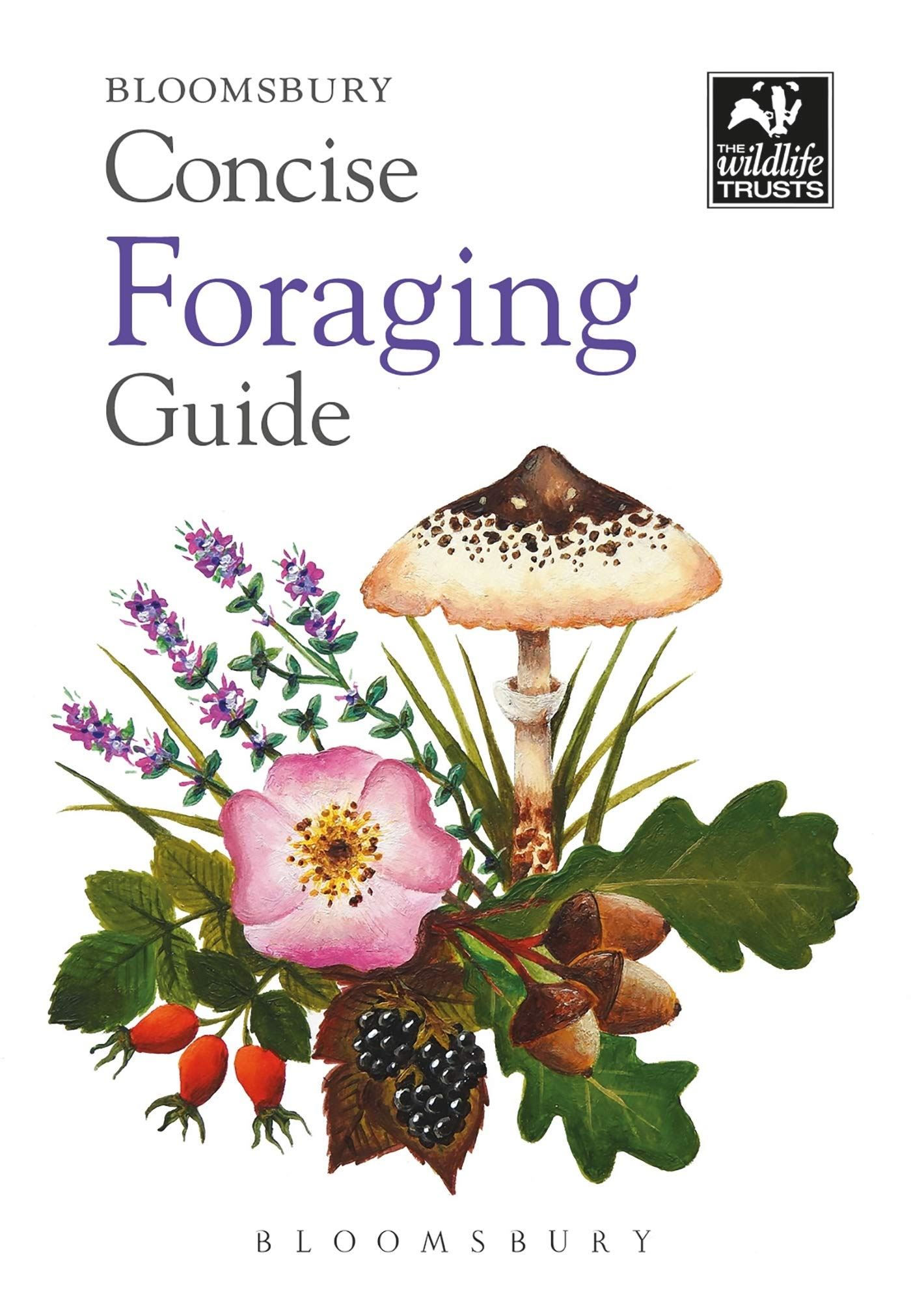 Bloomsbury Concise Foraging Guide