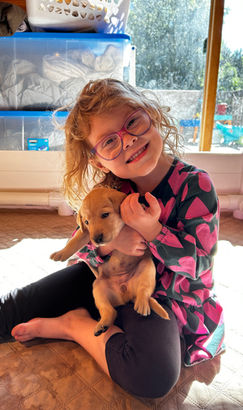 A young girl holding a newborn yellow lab puppy.