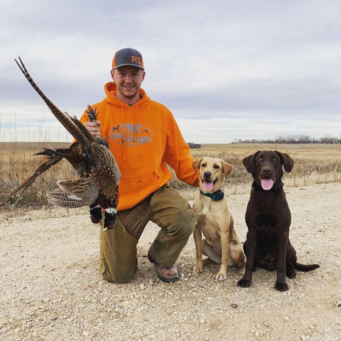 Pheasant Hunting Dogs