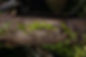 pexels-photo-4134339©Katie Burandt.jpeg