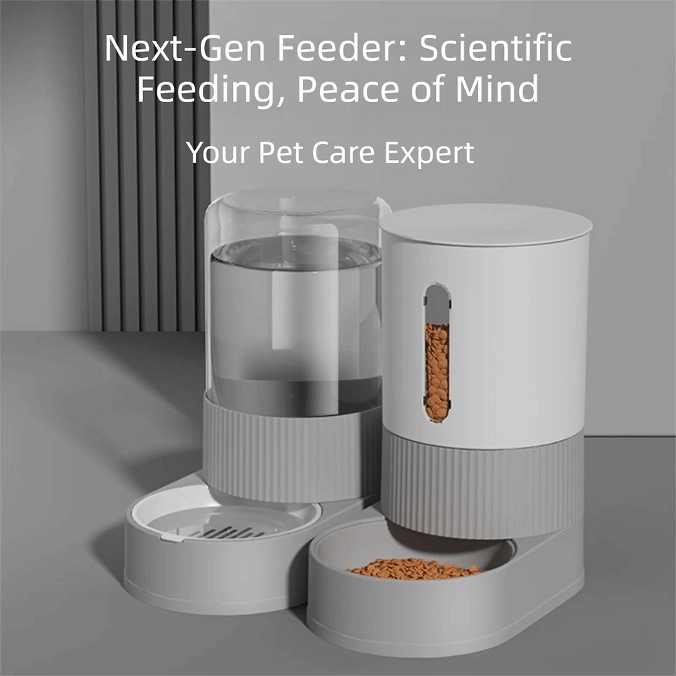 Thumbnail: Transparent Automatic Pet Feeder Spill Proof Detachable Pet Water Dispenser Plas