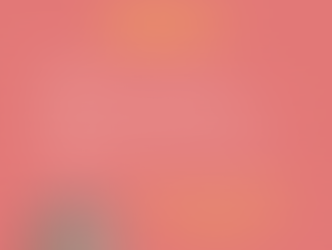 Vortrag: Gewalt-Prävention