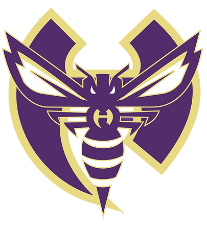 2019-2020%2520New%2520Logo%2520with%2520H%2520and%2520Hornet%2520No%2520background_edited_edited.png